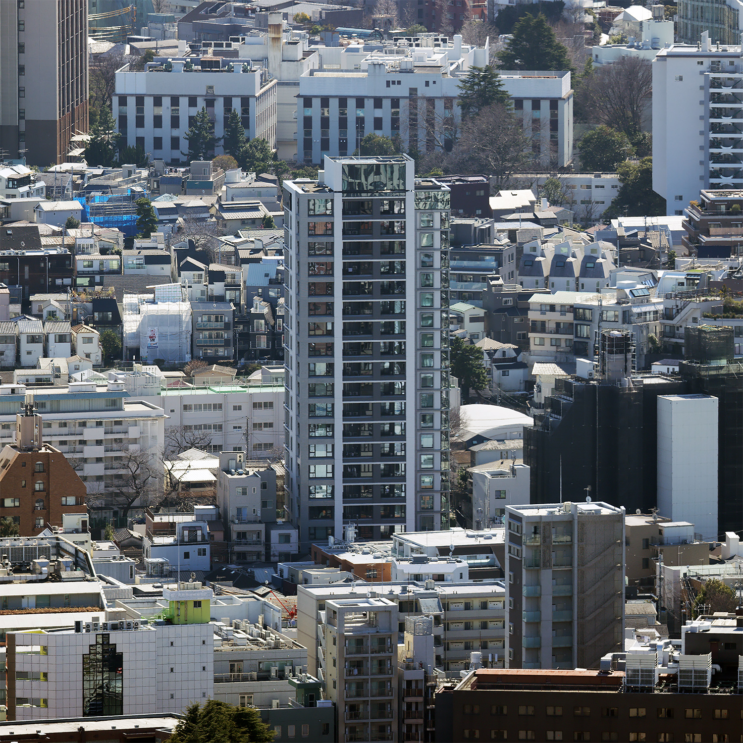 シティタワー白金