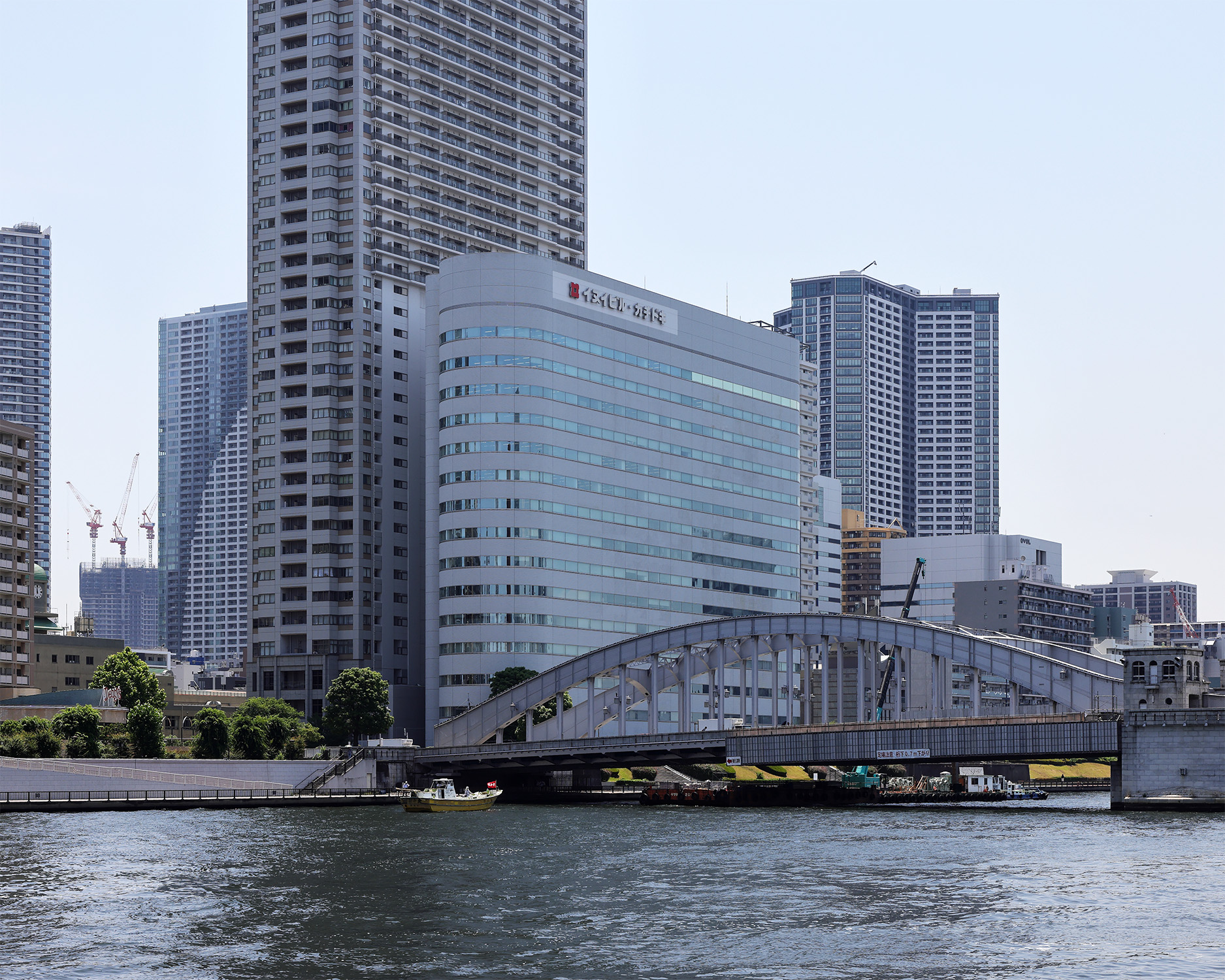 イヌイビル・カチドキ