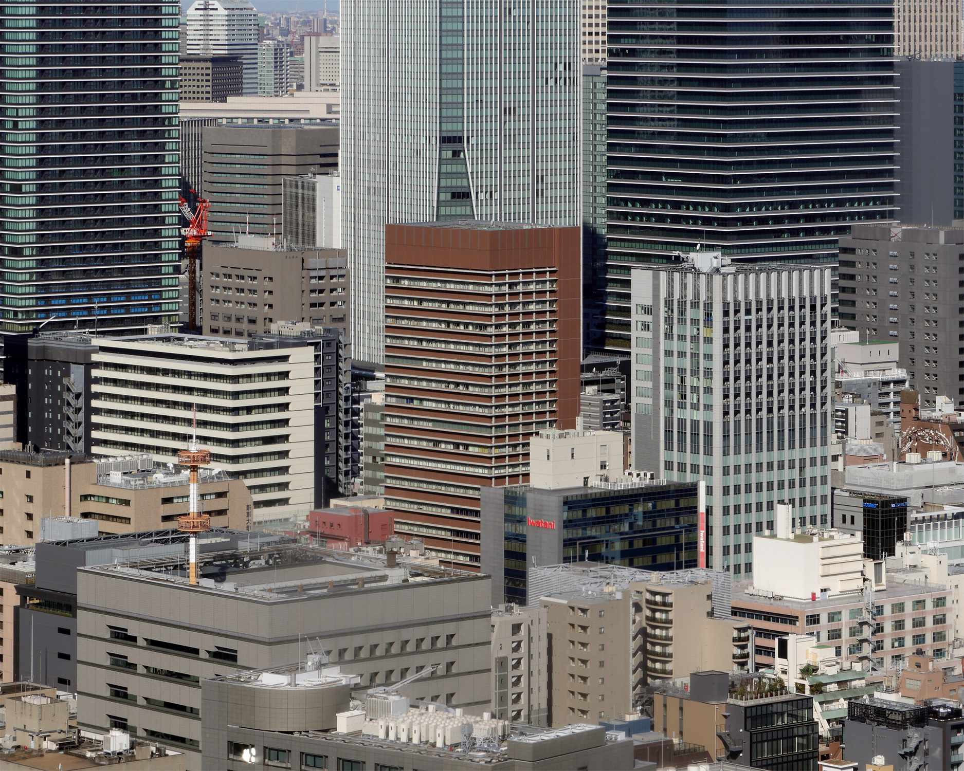 東京慈恵会医科大学1号館